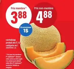Maxi CANTALOUP offer