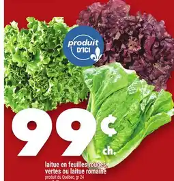 Marche Ami LAITUE EN FEUILLES ROUGES, VERTES OU LAITUE ROMAINE offer