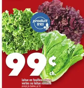 Marche Ami LAITUE EN FEUILLES ROUGES, VERTES OU LAITUE ROMAINE offer