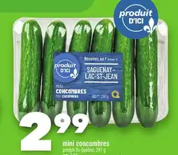 Marche Ami MINI CONCOMBRES offer
