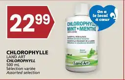 Rachelle-Bery Grocery LAND ART CHLOROPHYLL offer