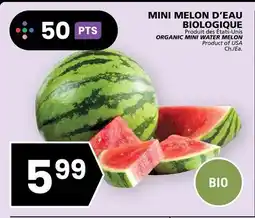 Rachelle-Bery Grocery ORGANIC MINI WATER MELON offer