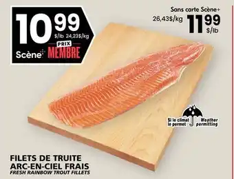Rachelle-Bery Grocery FRESH RAINBOW TROUT FILLETS offer