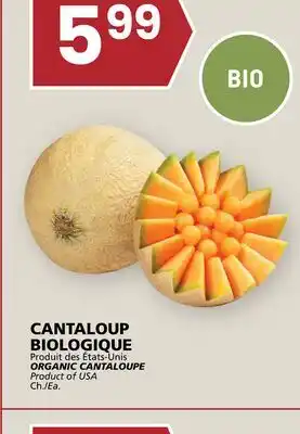 Rachelle-Bery Grocery ORGANIC CANTALOUPE offer