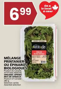 Rachelle-Bery Grocery ATTITUDE ORGANIC SPRING MIX OR SPINACH offer