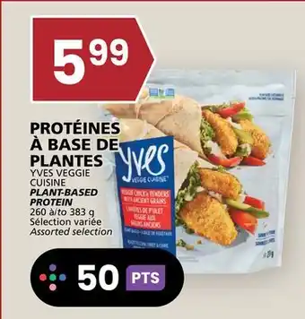 Rachelle-Bery Grocery YVES VEGGIE CUISINE PROTEIN offer