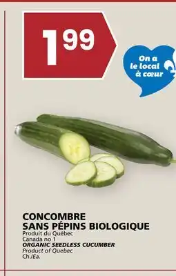 Rachelle-Bery Grocery ORGANIC SEEDLESS CUCUMBER offer