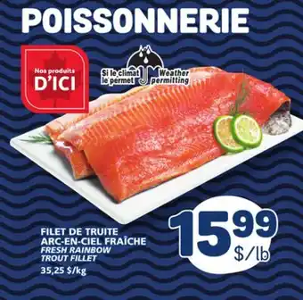 Marché Bonichoix FRESH RAINBOW TROUT FILLET offer