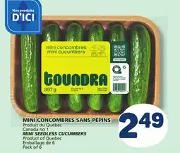 Marché Bonichoix MINI SEEDLESS CUCUMBERS offer