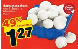 Super C champignons blancs | white mushrooms offer