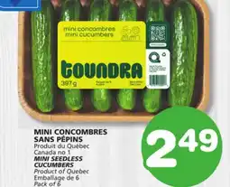 Marches Tradition MINI SEEDLESS CUCUMBERS offer