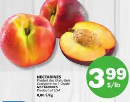 Marches Tradition NECTARINES offer