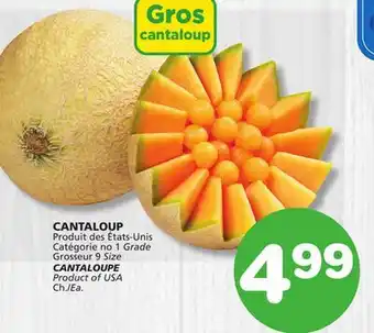 Marches Tradition CANTALOUPE offer