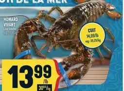 Marché Adonis HOMARD VIVANT | LIVE LOBSTER offer