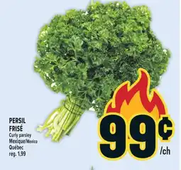 Marché Adonis PERSIL FRISÉ | CURLY PARSLEY offer