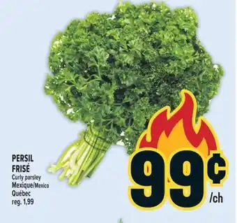 Marché Adonis PERSIL FRISÉ | CURLY PARSLEY offer