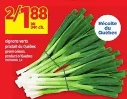 Maxi oignons verts offer