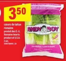 Maxi ANDY BOY offer