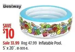 Canadian Tire Bestway Inflatable Pool offer