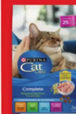 Walmart Purina Cat Chow Dry Cat Food offer