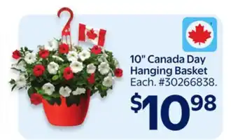 Walmart 10 Canada Day Hanging Basket offer