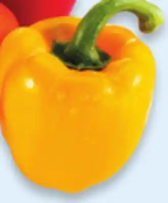 Walmart Bulk Yellow Peppers offer