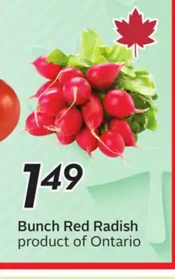 Sobeys Bunch Red Radish offer