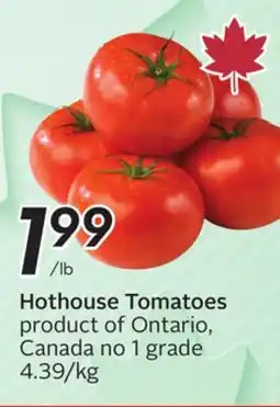 Sobeys Hothouse Tomatoes offer