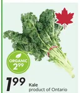 Sobeys Kale offer