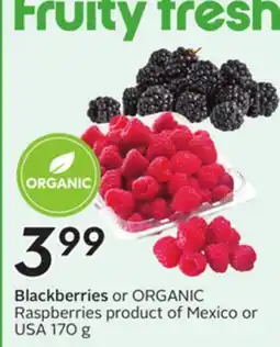 Sobeys Blackberries or ORGANIC Raspberries offer