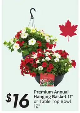 Sobeys Premium Annual Hanging Basket 11 or Table Top Bowl 12 offer