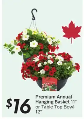 Sobeys Premium Annual Hanging Basket 11 or Table Top Bowl 12 offer