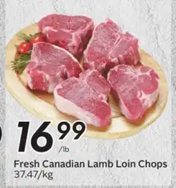 Sobeys Fresh Canadian Lamb Loin Chops offer