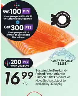 Sobeys Sustainable Blue Land-Raised Fresh Atlantic Salmon Fillets offer