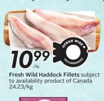 Sobeys Fresh Wild Haddock Fillets offer