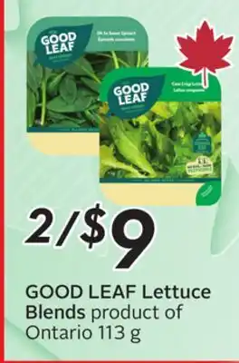 Sobeys GOOD LEAF Lettuce Blends offer