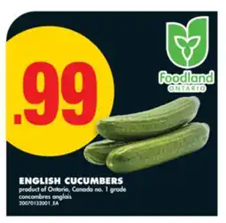 No Frills ENGLISH CUCUMBERS offer