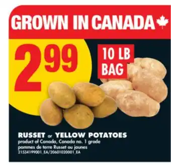 No Frills RUSSET or YELLOW POTATOES offer