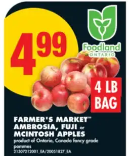 No Frills FARMER'S MARKET AMBROSIA, FUJI or MCINTOSH APPLES, 4 LB offer