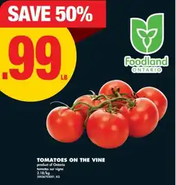No Frills TOMATOES ON THE VINE offer