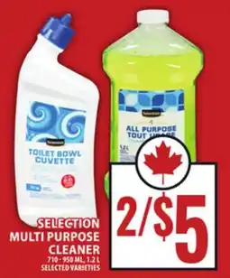 Food Basics SELECTION MULTI PURPOSE CLEANER offer