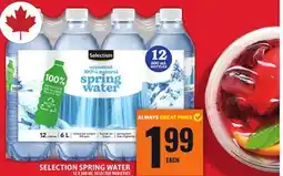 Food Basics SELECTION SPRING WATER offer