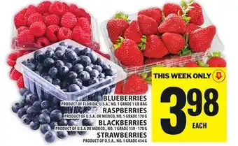 Food Basics BLUEBERRIES, RASPBERRIES, BLACKBERRIES OR STRAWBERRIES offer