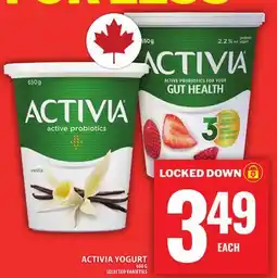 Food Basics ACTIVIA YOGURT offer