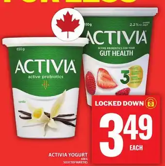 Food Basics ACTIVIA YOGURT offer