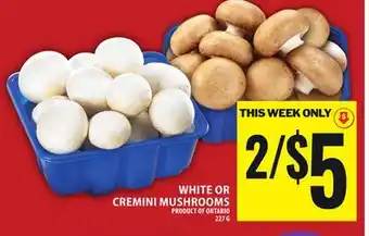Food Basics WHITE OR CREMINI MUSHROOMS offer