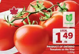 Foodland Tomatoes on the Vine offer