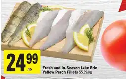Foodland Fresh and In-Season Lake Erie Yellow Perch Fillets offer