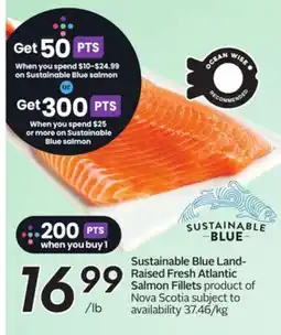 Sobeys Land-Raised Fresh Atlantic Salmon Fillets offer