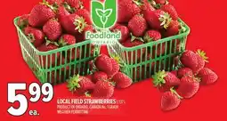 Metro FIELD STRAWBERRIES offer